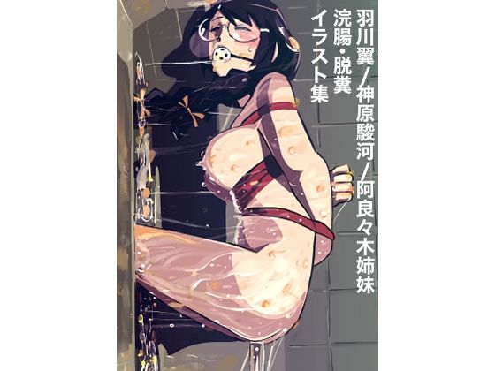 羽川翼/神原駿河/阿良々木姉妹 浣腸・脱糞 イラスト集