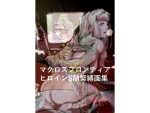 マクロスフロンティア  ヒロイン  SM緊縛画集